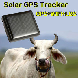 Mini Solar Animal Gps Tracker , Real Time Animal Tracking Device For Cattle Horse Camel