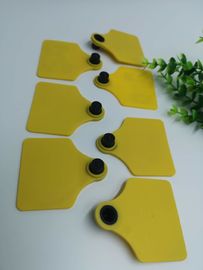 860 - 960mhz Frequency Uhf Cattle Tags / Rfid Cattle Tags Customized Color