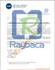 Porcellana Raybaca IOT Technology Co.,Ltd Certificazioni